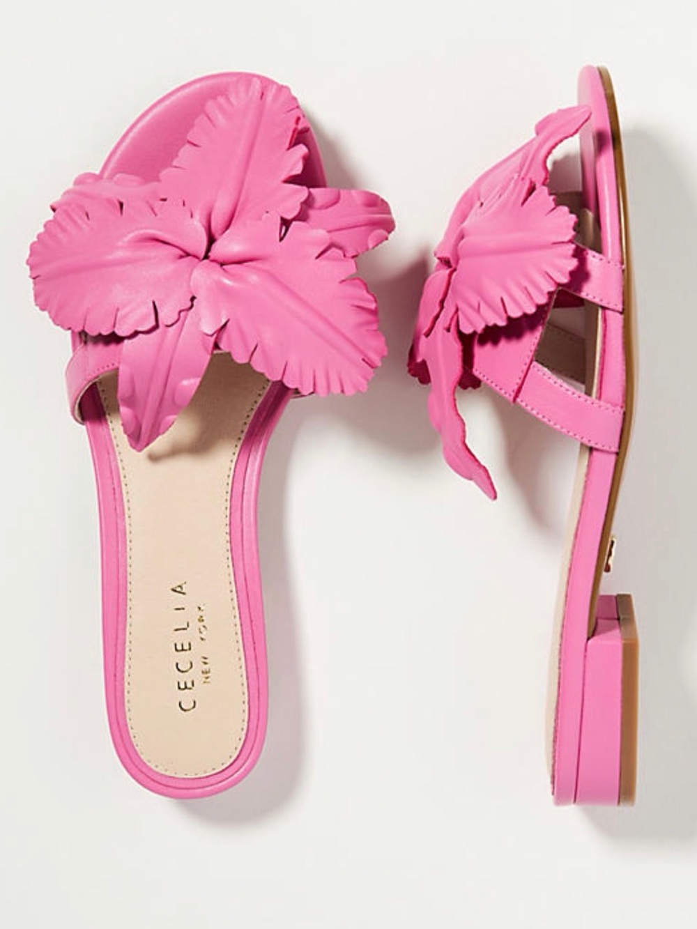 CECELIA NEW YORK Hot Pink Floral Slide Mules